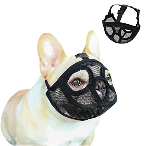 Maulkorb für Hunde, kurz, aus Netz, Maulkorb, französische Bulldogge, verstellbar, Maulkorb für Hunde, atmungsaktiv, Maulkorb für Hund, Kauen, Boyer, Training Maulkorb für Hunde, kurz, aus Netz, Maulkorb, französische Bulldogge, verstellbar, Maulkorb für Hunde, atmungsaktiv, Maulkorb für Hund, Kauen, Boyer, Training von AHDMR