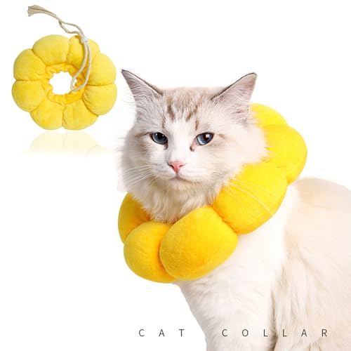 Halskrause Katze, Elisabethanisches Katzenhalsband, Katzen Halskrause, Katze Halskrause, Halskrausen Für Katzen, Leckschutz Katze, Halskrause Katze Weich, Katzenbody, Katzen von AHEJIOO