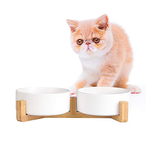 Futternapf Hund - Futternapf Katze mit Holz Ständer - Katzennapf Hundenapf Keramik Fressnapf für Wasser und Futter 2 x 480 ml von AHX