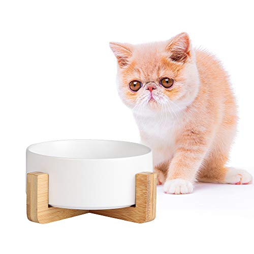 AHX Futternapf Hund - Futternapf Katze mit Holz Ständer - Katzennapf Hundenapf Keramik Fressnapf für Wasser und Futter 480 ml AHX Futternapf Hund - Futternapf Katze mit Holz Ständer - Katzennapf Hundenapf Keramik Fressnapf für Wasser und Futter 480 ml von AHX