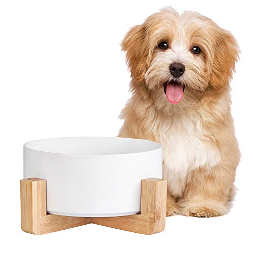 Futternapf Hund - Futternapf Katze mit Holz Ständer - Katzennapf Hundenapf Keramik Fressnapf für Wasser und Futter 850 ml Futternapf Hund - Futternapf Katze mit Holz Ständer - Katzennapf Hundenapf Keramik Fressnapf für Wasser und Futter 850 ml von AHX
