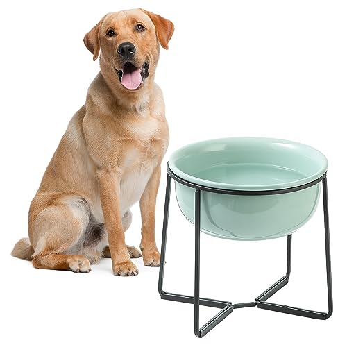 Hundenapf Erhöht Keramik Grosse Hunde - Fressnapf Hund mit Rutschfestem Ständer - Futternapf Wassernapf für Hunde - Hundenäpfe für mittelgroße bis große Hunde - Napf Hund - Trinknapf Hund - 1600 ML Hundenapf Erhöht Keramik Grosse Hunde - Fressnapf Hund mit Rutschfestem Ständer - Futternapf Wassernapf für Hunde - Hundenäpfe für mittelgroße bis große Hunde - Napf Hund - Trinknapf Hund - 1600 ML von AHX