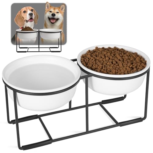 Hundenapf Set Erhöht Hundenäpfe Keramik - Fressnapf Hund 2er Set mit Rutschfestem Metallständer - Doppelnapf Hund für Futter und Wasser - Ideal für Kleine und Mittelgroße Hunde - 2 x 800 ml - Mattweiß Hundenapf Set Erhöht Hundenäpfe Keramik - Fressnapf Hund 2er Set mit Rutschfestem Metallständer - Doppelnapf Hund für Futter und Wasser - Ideal für Kleine und Mittelgroße Hunde - 2 x 800 ml - Mattweiß von AHX