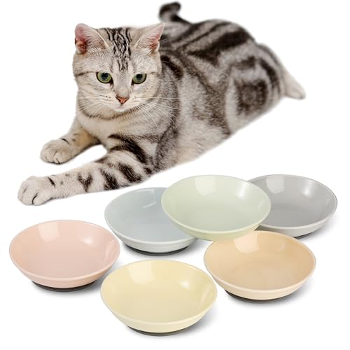 Katzen Futternapf Fressnapf Katze Keramik - Katzennapf Set mit Antirutsch Matte - Bunte Katzennäpfe - Katzenfutter Napf - Katzenschüssel Flach - Futterschale Katze - Katzen Napfset - 6 Stück - 250 ml Katzen Futternapf Fressnapf Katze Keramik - Katzennapf Set mit Antirutsch Matte - Bunte Katzennäpfe - Katzenfutter Napf - Katzenschüssel Flach - Futterschale Katze - Katzen Napfset - 6 Stück - 250 ml von AHX