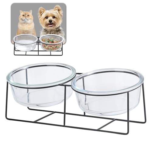 Katzennapf Hundenapf - Futternapf Katze Hund - Katzennapf Erhöht mit Ständer - Doppel Fressnapf Wasser Futter Napf Glas für Katzen | Kleine Hunde | Welpen - 450ml × 2 von AHX