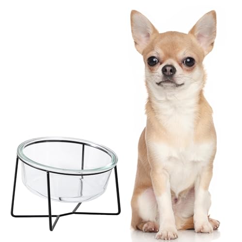 Katzennapf Hundenapf - Futternapf Katze Hund - Katzennapf Erhöht mit Ständer - Fressnapf Wasser Futter Napf Glas für Katzen | Kleine Hunde | Welpen - 450 ml Katzennapf Hundenapf - Futternapf Katze Hund - Katzennapf Erhöht mit Ständer - Fressnapf Wasser Futter Napf Glas für Katzen | Kleine Hunde | Welpen - 450 ml von AHX