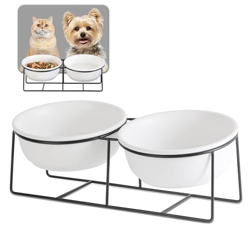 Katzennapf Hundenapf - Futternapf Katze Hund Keramik - Katzennapf Erhöht mit Ständer - Doppel Fressnapf Wasser Futter Napf für Katzen | Kleine Hunde | Welpen - 450ml × 2 Katzennapf Hundenapf - Futternapf Katze Hund Keramik - Katzennapf Erhöht mit Ständer - Doppel Fressnapf Wasser Futter Napf für Katzen | Kleine Hunde | Welpen - 450ml × 2 von AHX