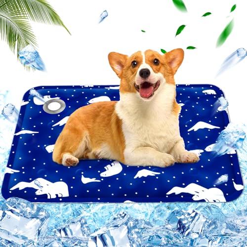 AHYDFSR Kühlmatte Hunde Katzen, Kühldecke für Hunde Wasserdicht & Kratzfest, mit ungiftiges Gel, L, 50×65cm, Königsblau von AHYDFSR