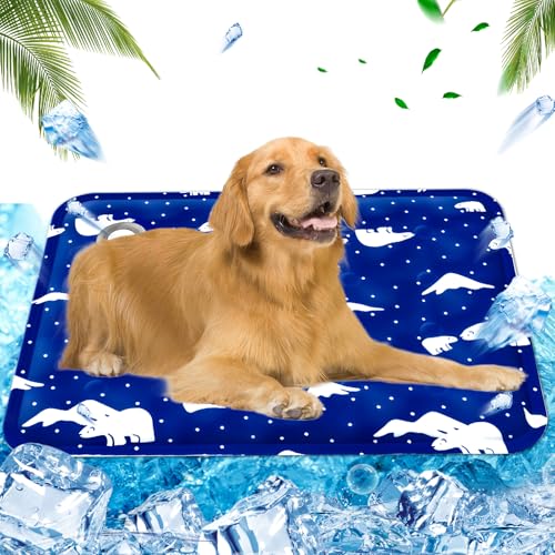 AHYDFSR Kühlmatte Hunde Katzen, Wassergefüllte Kühlmatte, Dog Cooling Mat Kühlmatte Haustier, Wasserdicht & Kratzfest, für Haustiere & Mensch, XL, 60×90cm, Königsblau AHYDFSR Kühlmatte Hunde Katzen, Wassergefüllte Kühlmatte, Dog Cooling Mat Kühlmatte Haustier, Wasserdicht & Kratzfest, für Haustiere & Mensch, XL, 60×90cm, Königsblau von AHYDFSR