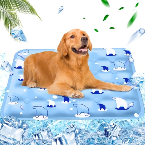 AHYDFSR Kühlmatte Hunde Katzen,wassergefüllte Kühlmatte,Hunde kühlmatte verwenden selbstkühlend mit ungiftiges Gel, Hellblauer Eisbär, 60×90cm, XL AHYDFSR Kühlmatte Hunde Katzen,wassergefüllte Kühlmatte,Hunde kühlmatte verwenden selbstkühlend mit ungiftiges Gel, Hellblauer Eisbär, 60×90cm, XL von AHYDFSR