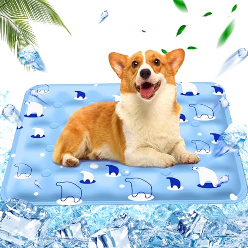 AHYDFSR Kühlmatte Hunde Katzen,wassergefüllte Kühlmatte,Hunde kühlmatte verwenden selbstkühlend mit ungiftiges Gel,Hellblauer Eisbär,50×60cm, L von AHYDFSR