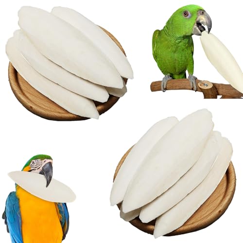 10 PCS Sepiaschalen Für Schildkröten wellensittiche, 9-12 cm Sepiaschalen Premium | Handgemachte Tintenfischschalen Geeignet ZurKalziumversorgung Für Vögel Futter für Reptilien, Schildkröten, Vögel von AIDODIA