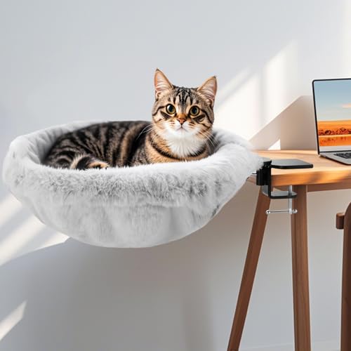 AIERSA Katzen-Schreibtischbett, Katzenbett für Schreibtisch, Katzen-Schreibtisch, Sitzstange, Schreibtischnest, Katzenbett, Katzenbett, Schreibtischhalterung, Katzenhängematte für Schreibtisch, AIERSA Katzen-Schreibtischbett, Katzenbett für Schreibtisch, Katzen-Schreibtisch, Sitzstange, Schreibtischnest, Katzenbett, Katzenbett, Schreibtischhalterung, Katzenhängematte für Schreibtisch, von AIERSA