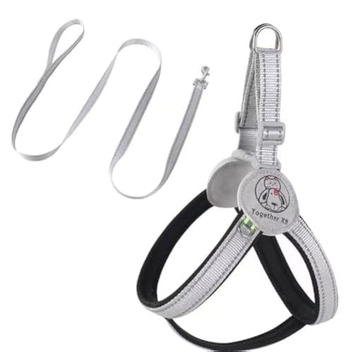 AILEVERS Easy Walk Step-in-Haustiergeschirr, kein Ziehen, Hundegeschirr und Leine, Set für kleine, mittelgroße Hunde und Katzen, Schwarz, Größe M von AILEVERS