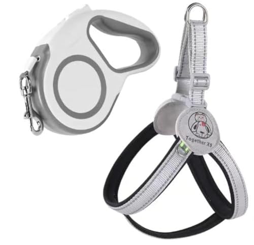 AILEVERS Easy Walk Step-in-Haustiergeschirr, kein Ziehen, Hundegeschirr mit Leine, Set für kleine, mittelgroße Hunde und Katzen, Schwarz+, Größe XS AILEVERS Easy Walk Step-in-Haustiergeschirr, kein Ziehen, Hundegeschirr mit Leine, Set für kleine, mittelgroße Hunde und Katzen, Schwarz+, Größe XS von AILEVERS