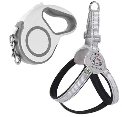 AILEVERS Easy Walk Step-in-Haustiergeschirr, kein Ziehen, Hundegeschirr mit Leine, Set für kleine, mittelgroße Hunde und Katzen, Schwarz+, Größe S AILEVERS Easy Walk Step-in-Haustiergeschirr, kein Ziehen, Hundegeschirr mit Leine, Set für kleine, mittelgroße Hunde und Katzen, Schwarz+, Größe S von AILEVERS