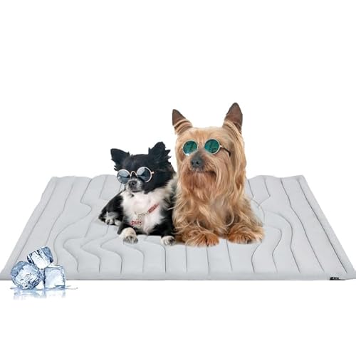 AILISK Dr Pfoten PfotenChillm-Die Innovative KühlmattefÃür Hunde(Mittel) von AILISK