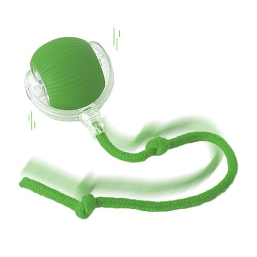 AILISK Tier Herzen Interaktiver Spielball Mit Schwanz Für Katzen (Green) von AILISK
