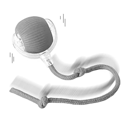 AILISK Tier Herzen Interaktiver Spielball Mit Schwanz Für Katzen (Grey) von AILISK