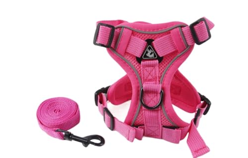 Luxus-Kollektion Verstellbares Katzengeschirr Ausbruchsicher mit Leine Set(Rosenrot,XL) von AILISK
