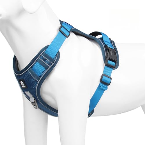 MagischePfoten™ Hundegeschirr von AILISK