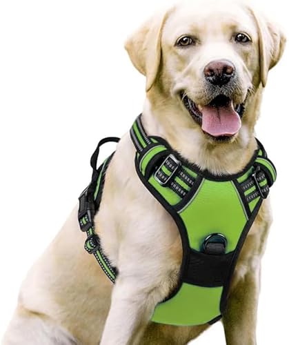 Premium 2.0 Sannyxi Geschirr Brustgeschirr Für Kleine Hunde (Grün,M) von AILISK
