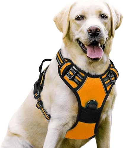 Premium 2.0 Sannyxi Geschirr Brustgeschirr Für Kleine Hunde (Orange,M) von AILISK
