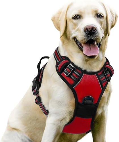 Premium 2.0 Sannyxi Geschirr Brustgeschirr Für Kleine Hunde (Red,S) von AILISK