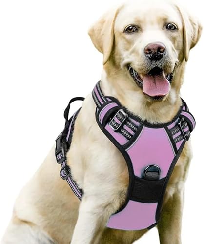 Premium 2.0 Sannyxi Geschirr Brustgeschirr Für Kleine Hunde (Rosa,M) von AILISK