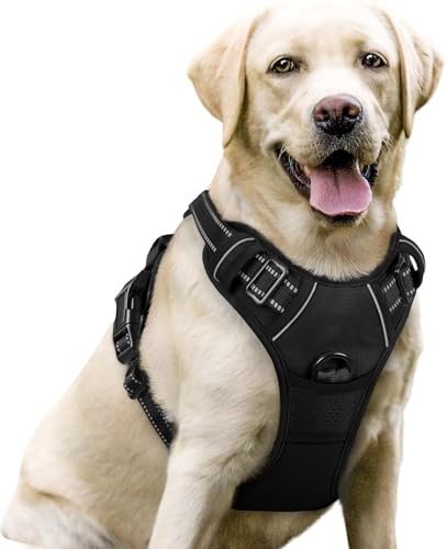 Premium 2.0 Sannyxi Geschirr Brustgeschirr Für Kleine Hunde (Schwarz,S) von AILISK