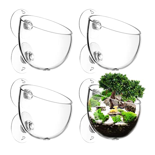 AIMEKE 4 Stück Wasserpflanzentopf Aquarium Deko Kristallglas Glas Cup Pflanzenhalter Cup Topf Pflanz für Aquarienpflanzen, mit 8 × Saugnäpfen von AIMEKE