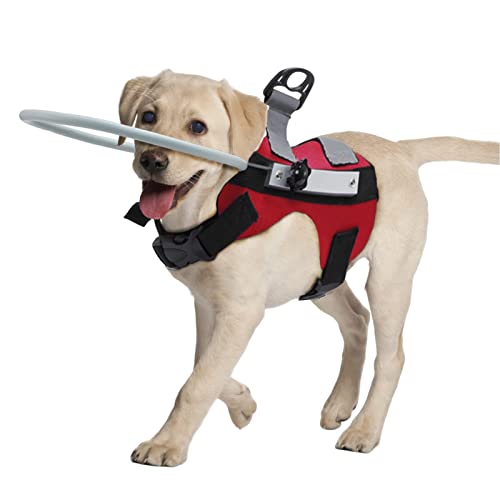 AIMEKE Blinder Hund Halo, Haustierhalsband für Hunde mit Sehstörungen, Ring Schutzweste für Hunde, Gerät Führung Weste für Haustiere, verhindert Unfälle von AIMEKE