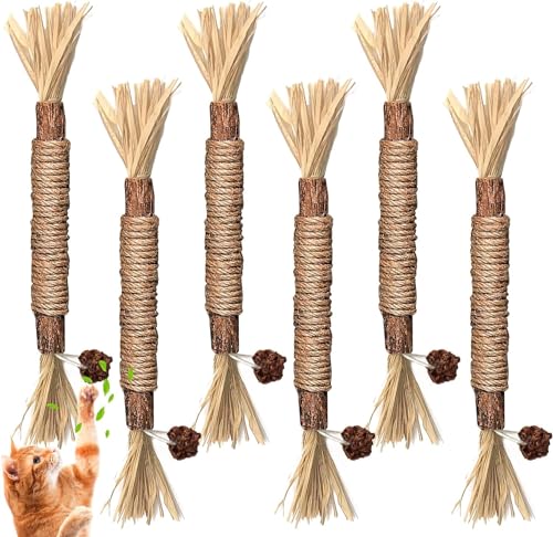 Katzenminze Sticks,6 Stück Kausticks für Katzen,Matatabi Stick für Katzen,Matatabi Stick Katze für Katzen für Katzenwand Katzenminze Spielzeug für Katzen Zahnpflege Natürlich Sicher von AIPWEYT Store