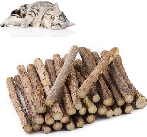 Matatabi Katzen Kauhölzer, Katzenminze Sticks,Matatabi-Kausticks Katzenspielzeug,32 Stück Katzenminze Sticks, Katzensticks Zur Zahnreinigung Katzen Zahnpflege Spielzeug Dental Kausticks Cat Chewing Matatabi Katzen Kauhölzer, Katzenminze Sticks,Matatabi-Kausticks Katzenspielzeug,32 Stück Katzenminze Sticks, Katzensticks Zur Zahnreinigung Katzen Zahnpflege Spielzeug Dental Kausticks Cat Chewing von AIPWEYT Store