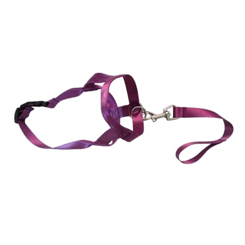 Maulkorb für Hunde, verstellbar, Nylon, belüftet, für Hunde, Nylonbänder, Hundezubehör Maulkorb für Hunde, verstellbar, Nylon, belüftet, für Hunde, Nylonbänder, Hundezubehör von AIRHSKWI