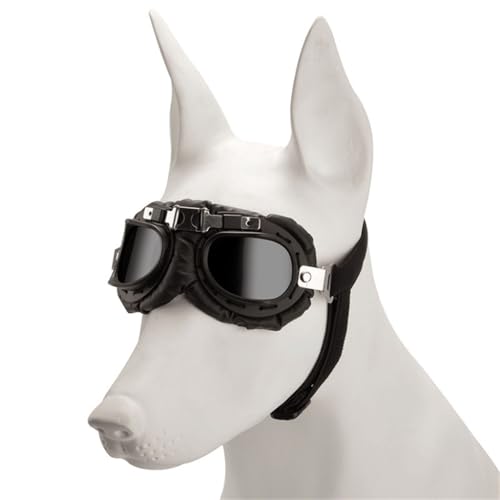 Windschutz-Sonnenbrille für kleine Hunde, Foto-Requisiten, Brille für Outdoor-Aktivitäten Windschutz-Sonnenbrille für kleine Hunde, Foto-Requisiten, Brille für Outdoor-Aktivitäten von AIRHSKWI