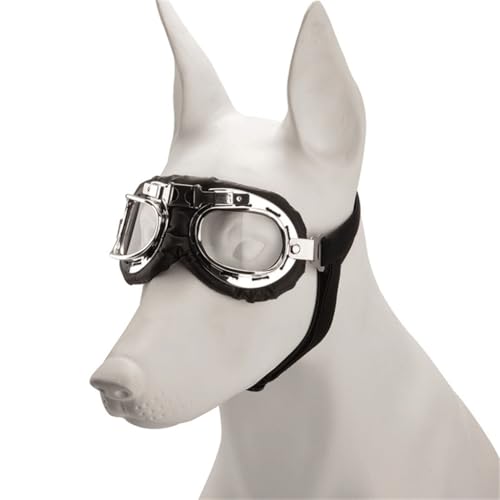 Windschutz-Sonnenbrille für kleine Hunde, Foto-Requisiten, Brille für Outdoor-Aktivitäten Windschutz-Sonnenbrille für kleine Hunde, Foto-Requisiten, Brille für Outdoor-Aktivitäten von AIRHSKWI