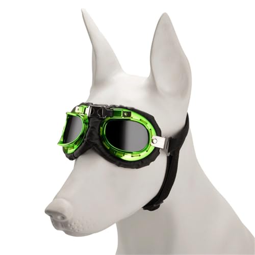 Windschutz-Sonnenbrille für kleine Hunde, Foto-Requisiten, Brille für Outdoor-Aktivitäten Windschutz-Sonnenbrille für kleine Hunde, Foto-Requisiten, Brille für Outdoor-Aktivitäten von AIRHSKWI