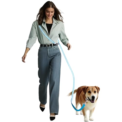 AIRUIDOG Handfreie Hundeleine, multifunktionale Crossbody-Taillenleine für Spaziergänge, reflektierend, strapazierfähig, für mittelgroße und große Hunde, zum Spazierengehen, Joggen, Laufen, Training von AIRUIDOG