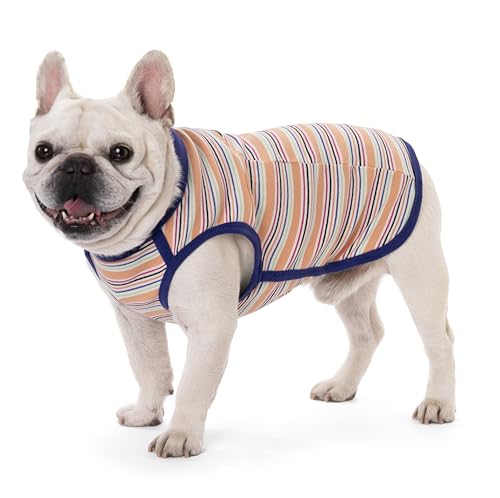 Hunde-Shirts, französische Bulldogge, gestreiftes Baumwoll-Tanktop, farbblockiertes T-Shirt für kleine Hunde, dehnbare und atmungsaktive Welpenweste, Vierjahreszeiten-Haustierkleidung Hunde-Shirts, französische Bulldogge, gestreiftes Baumwoll-Tanktop, farbblockiertes T-Shirt für kleine Hunde, dehnbare und atmungsaktive Welpenweste, Vierjahreszeiten-Haustierkleidung von AITOLI
