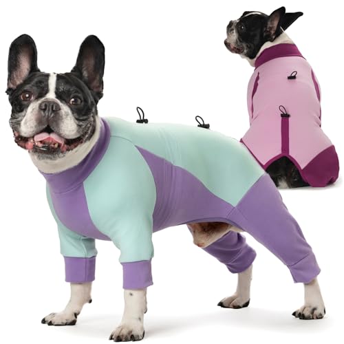 Hunde-Wintermantel, weiches Fleece, Farbblock, Ganzkörper-Hundemantel, Schneeanzug, Pyjama, Mäntel für Hunde bei kaltem Wetter mit Kordelzug, warme Hundekleidung, 2 Stück von AITOLI