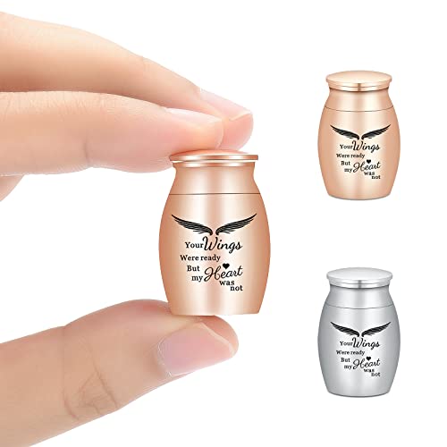 AIWENXI Kleine Urnen, Andenken für Asche, super Mini-Urnen für Mensch oder Haustier, Asche, Urnen, Edelstahl, Gedenk-Aschenhalter, 2 Sets (Silber+Roségold) von AIWENXI