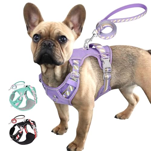 AKAILEA Hundegeschirr und Leine, reflektierend, leicht zu kontrollieren, weicher Griff, verstellbar und bequem für einfaches Gehen, passend für kleine, mittelgroße und große Rassen, Lila, Größe M AKAILEA Hundegeschirr und Leine, reflektierend, leicht zu kontrollieren, weicher Griff, verstellbar und bequem für einfaches Gehen, passend für kleine, mittelgroße und große Rassen, Lila, Größe M von AKAILEA