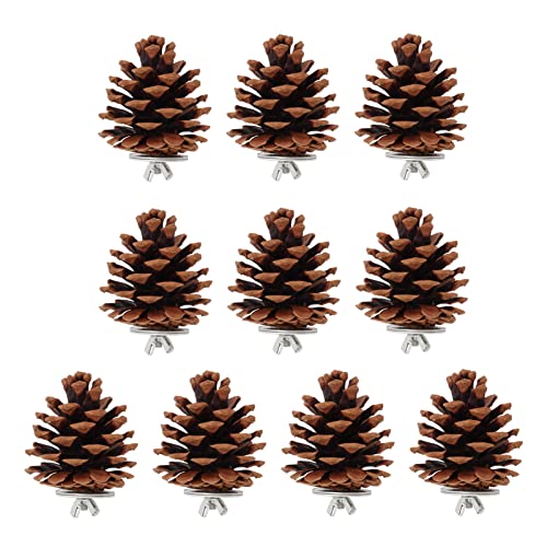 10 Stück Bird Bite Pine Co – Kauspielzeug Für Sittiche, Nymphensittiche, Sittiche, Finken, Wellensittiche, AWS – F Molar Pine Cone Bird Kauspielzeug Für Schnäbel von AKLOSIPY