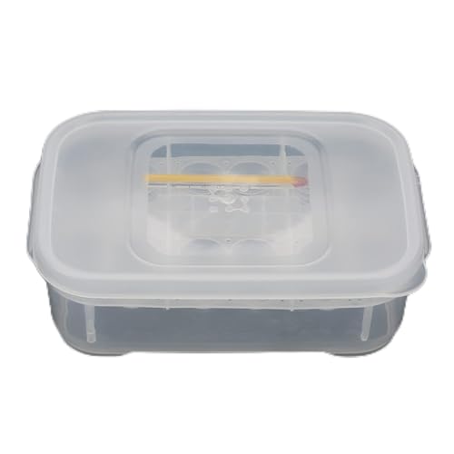 12 IDs Schlangen G Eidechsen Reptilien Eier Inkubator T Er Box mit Praktischem E T E T Ist mit Verstellbarem Schlangen-Inkubator-Ding-Box-Inkubator T für Eidechsen-Eier 12 IDs Schlangen G Eidechsen Reptilien Eier Inkubator T Er Box mit Praktischem E T E T Ist mit Verstellbarem Schlangen-Inkubator-Ding-Box-Inkubator T für Eidechsen-Eier von AKLOSIPY