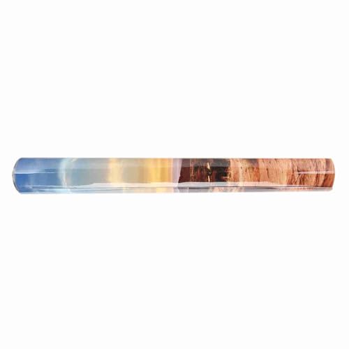 AKLOSIPY S und Desert PVC Selbstklebender Riumfisch Hintergrund P Dekor (61 * 30CM) von AKLOSIPY