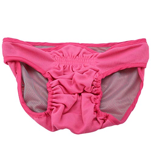 AKLOSIPY Hunde-Polyester Physiologisches P – Fem Puppy Derwear, Italienische Windel für Hunde, Farbe – Bequeme und Saugfähige Haustierwindel für Fem Dogs (M #03) von AKLOSIPY