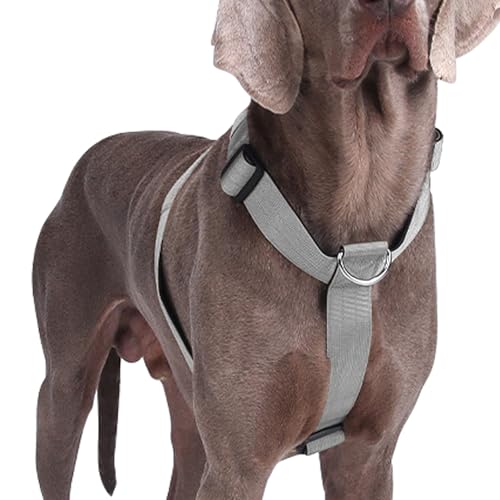 Hundegeschirr Mittelgroße Grosse Hunde, Taktisches Hundegeschirr Ausbruchsicheres, Gepolsterte Anti Zug Brustgeschirr Weich Verstellbares Dog Harness für Hunde Alltag und Training (Grau, M) von AKOFIC