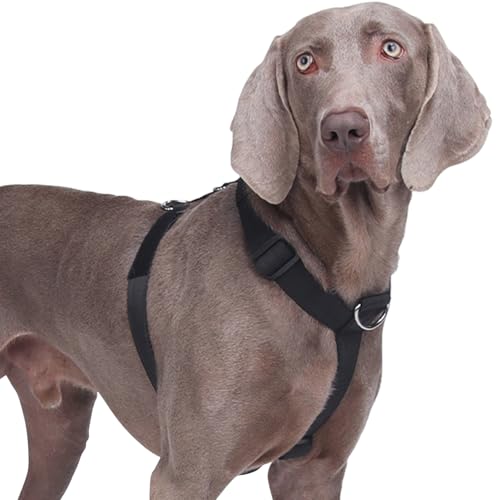 Hundegeschirr Mittelgroße Grosse Hunde, Taktisches Hundegeschirr Ausbruchsicheres, Gepolsterte Anti Zug Brustgeschirr Weich Verstellbares Dog Harness für Hunde Alltag und Training (Schwarz, M) von AKOFIC
