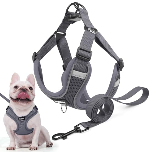 Hundegeschirr für Kleine Mittelgroße Hunde, Anti Zug Reflektierend Welpengeschirr mit Leine, Verstellbar Air Mesh Atmungsaktiv Brustgeschirr für Hunde Gassigehen, Training und Reisen (Grau, M) von AKOFIC